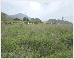  2025Ÿ��720  �����