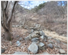  2025Ÿ��735 �泲 ��û�� ����� ȫ�踮 766      ����(��)���