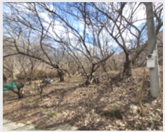  2025Ÿ��735 �泲 ��û�� ����� ȫ�踮 766      ����(��)���