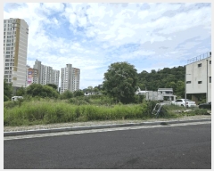  2025Ÿ��753 �泲 ���ֽ� �湫���� 238-5       ����(����)���