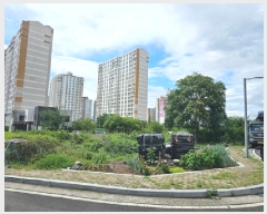  2025Ÿ��753 �泲 ���ֽ� �湫���� 238-5       ����(����)���