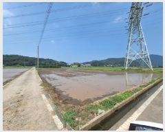  2025Ÿ��764 �泲 ��õ�� �糲�� ȭ���� 1011-1      ����(��)���