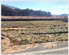  2025Ÿ30242 泲 ر   1077-31      ()