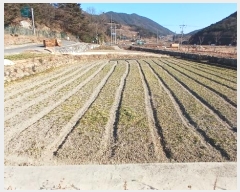  2025Ÿ30242 泲 ر   1077-31      ()