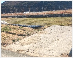  2025Ÿ30242 泲 ر   1077-31      ()