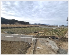  2025Ÿ30242 泲 ر   1077-31      ()