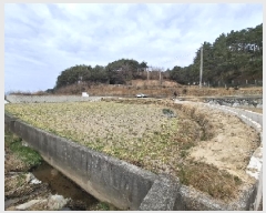  2025Ÿ30242 泲 ر   1077-31      ()