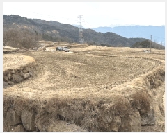  2025Ÿ��30402  ����