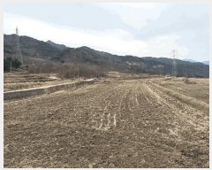  2025Ÿ��30402  ����