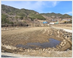  2025Ÿ��30402  ����