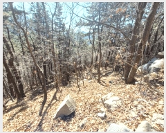  2025Ÿ30518 泲 õ ׸ 27-9       (Ӿ)