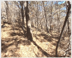  2025Ÿ30518 泲 õ ׸ 27-9       (Ӿ)