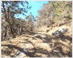  2025Ÿ30518 泲 õ ׸ 27-9       (Ӿ)