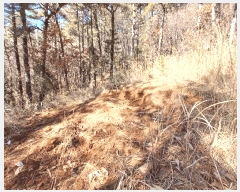  2025Ÿ30518 泲 õ ׸ 27-9       (Ӿ)