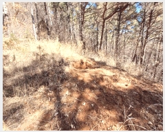  2025Ÿ30518 泲 õ ׸ 27-9       (Ӿ)