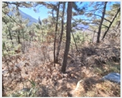  2025Ÿ30518 泲 õ ׸ 27-9       (Ӿ)