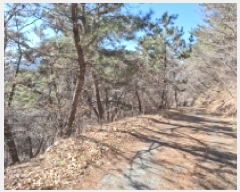  2025Ÿ30518 泲 õ ׸ 27-9       (Ӿ)