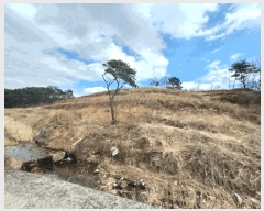  2025Ÿ��30596  �Ӿ߰��