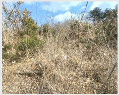  2025Ÿ��30596  �Ӿ߰��