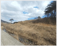  2025Ÿ��30596  �Ӿ߰��