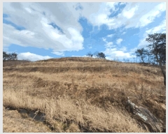  2025Ÿ��30596  �Ӿ߰��