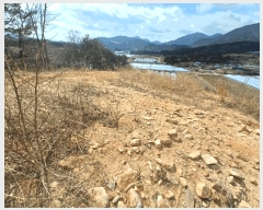  2025Ÿ��30596  �Ӿ߰��