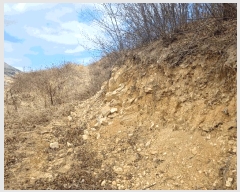  2025Ÿ��30596  �Ӿ߰��