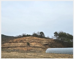  2025Ÿ��30596  �Ӿ߰��