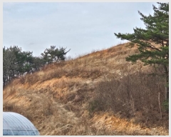  2025Ÿ��30596  �Ӿ߰��