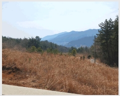  2025Ÿ��30618 �泲 ���ر� �ﵿ�� ��õ�� ��216      ����(�Ӿ�)���