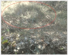  2025Ÿ��30618 �泲 ���ر� �ﵿ�� ��õ�� ��216      ����(�Ӿ�)���