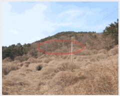  2025Ÿ��30618 �泲 ���ر� �ﵿ�� ��õ�� ��216      ����(�Ӿ�)���