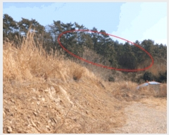  2025Ÿ��30618 �泲 ���ر� �ﵿ�� ��õ�� ��216      ����(�Ӿ�)���