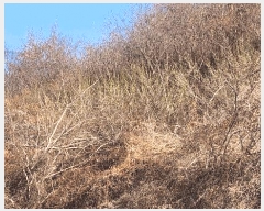  2025Ÿ��30628  �����