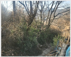  2025Ÿ��30628  �����