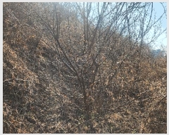  2025Ÿ��30628  �����