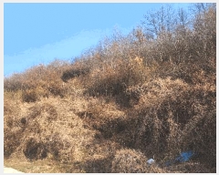  2025Ÿ��30628  �����