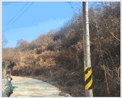  2025Ÿ��30628  �����