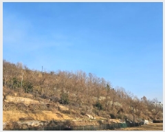  2025Ÿ��30628  �����