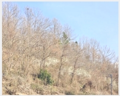  2025Ÿ��30628  �����