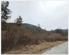  2025Ÿ��30640 �泲 ���ֽ� ���� �� ��146-5      ����(�Ӿ�)���