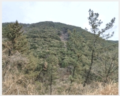  2025Ÿ��30640 �泲 ���ֽ� ���� �� ��146-5      ����(�Ӿ�)���