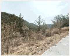  2025Ÿ��30640 �泲 ���ֽ� ���� �� ��146-5      ����(�Ӿ�)���