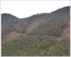  2025Ÿ��30640 �泲 ���ֽ� ���� �� ��146-5      ����(�Ӿ�)���