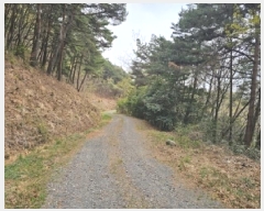  2025Ÿ��30640 �泲 ���ֽ� ���� �� ��146-5      ����(�Ӿ�)���