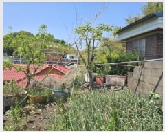  2025Ÿ��30675  ���ð��