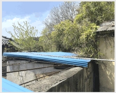  2025Ÿ��30729  �������