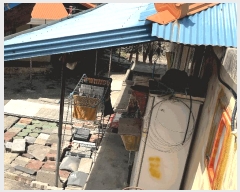  2025Ÿ��30729  �������