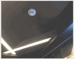  2025Ÿ��30750  ���ڽü����