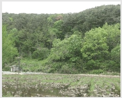  2025Ÿ��30780 �泲 ���ֽ� ������ ������ 117-1      ����(��)���